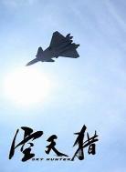 空中危机2019豆瓣