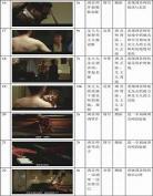 法国版调音师完整版下载