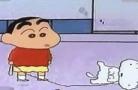 小新捡到小白